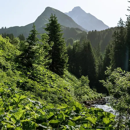 Am Gehren - Arlberg * Warth (Vorarlberg)