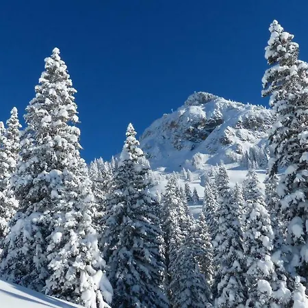 Am Gehren - Arlberg * Warth (Vorarlberg)