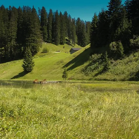 Am Gehren - Arlberg Warth (Vorarlberg)